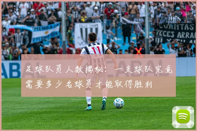 足球队员人数揭秘：一支球队究竟需要多少名球员才能取得胜利