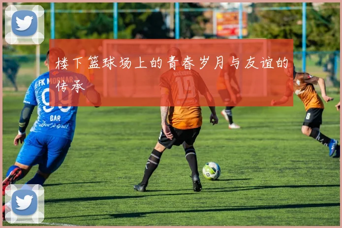 楼下篮球场上的青春岁月与友谊的传承
