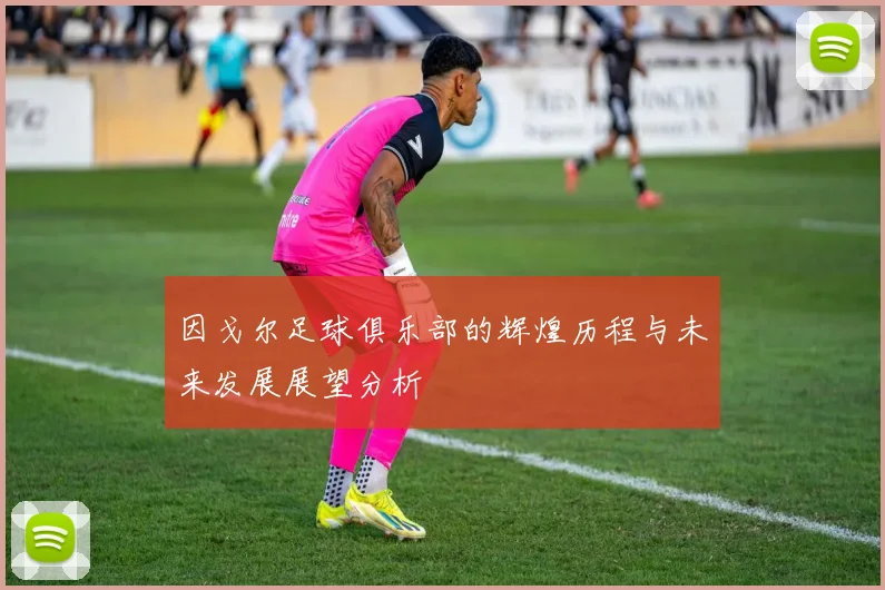 因戈尔足球俱乐部的辉煌历程与未来发展展望分析