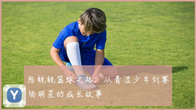 陈锐锐篮球之路：从青涩少年到赛场明星的成长故事