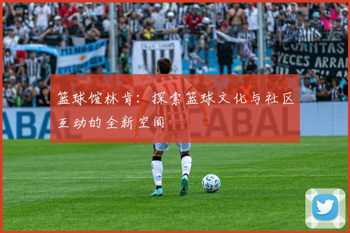 篮球馆林肯：探索篮球文化与社区互动的全新空间
