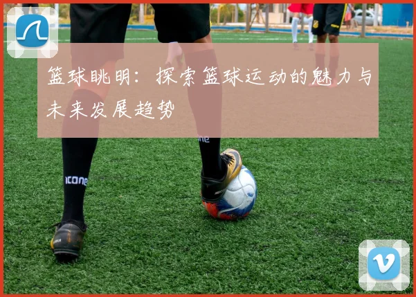 篮球眺明：探索篮球运动的魅力与未来发展趋势
