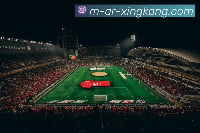 星空官网APP 封面图